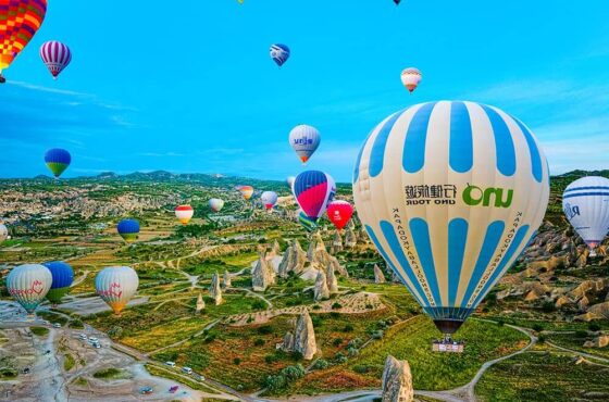 Brooklyn Christmas Lights Tour